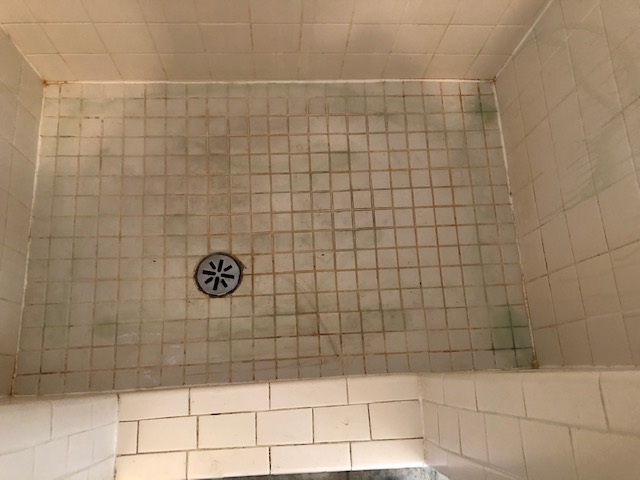 This Clean House project